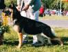 Xena Of Zimsu