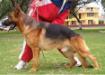 Zotto The Jomarguell