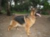 olymoia von petworld