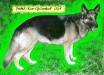 Mikah's Kisses Of Creekwell