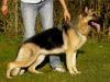 Loona von Karthago