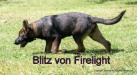 Blitz von Firelight