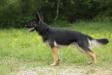 Izzy von Hugelblick