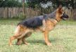 Beauty von Marbach