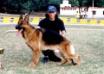 Xero The Jomarguell