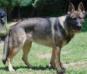 Arko Von Barren Berg