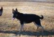 ajax aus dem soldate