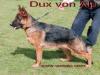 Dux von Alp