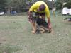 Zorro do Marbach