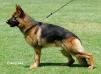 Ziko of Marathon Land