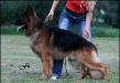 Clark Pulnocni mesic