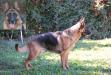 Galy Von Guter Sfreund
