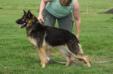Zara von Lindesfarne
