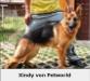 Xindy von petworld