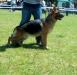 walessa von petworld