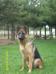 tanya von petworld