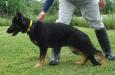 Willow von Kleiner Feuerball