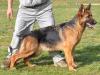 Caisy von Petworld