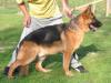 Kenzo von Petworld