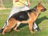 Mars von Petworld