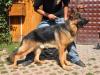 Ramon von Petworld