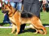 Uslu von Petworld
