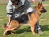 Warina von Petworld