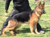Xeros von Petworld