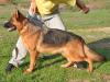Yasmin von Petworld