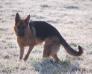 Yuma von der Fangschleuse