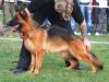 Zara von Petworld