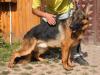 Varko von Petworld#