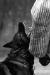 Figaro Aritar Bastet