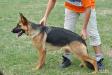 Loreley Solo Rigoletto