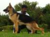 Aischa of Ravia