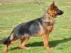 Gora von Petworld