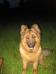 Odwin von Petworld