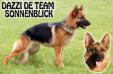 Dazzi De Team Sonnenblick