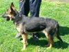 Bacca Von Schwarz Lilie