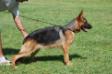Onyx von Wittenberge