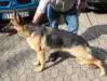 Kaja von der Roten Matter