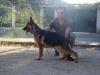 Rayen Von Haus Brintrup