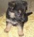 BETY von OLYMPOS