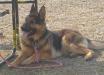 BORIS von OLYMPOS