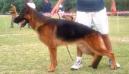 Lucho The Jomarguell