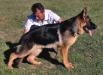 Troy del Rione Antico