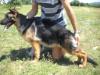 Iza von Marbo Wolf