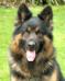 Limasmythe Asbo Bill
