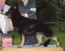 GCH, CH DCT-TeBe Nobe Me & Bobby McGee