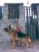 Aquiles Von Haus Bujala